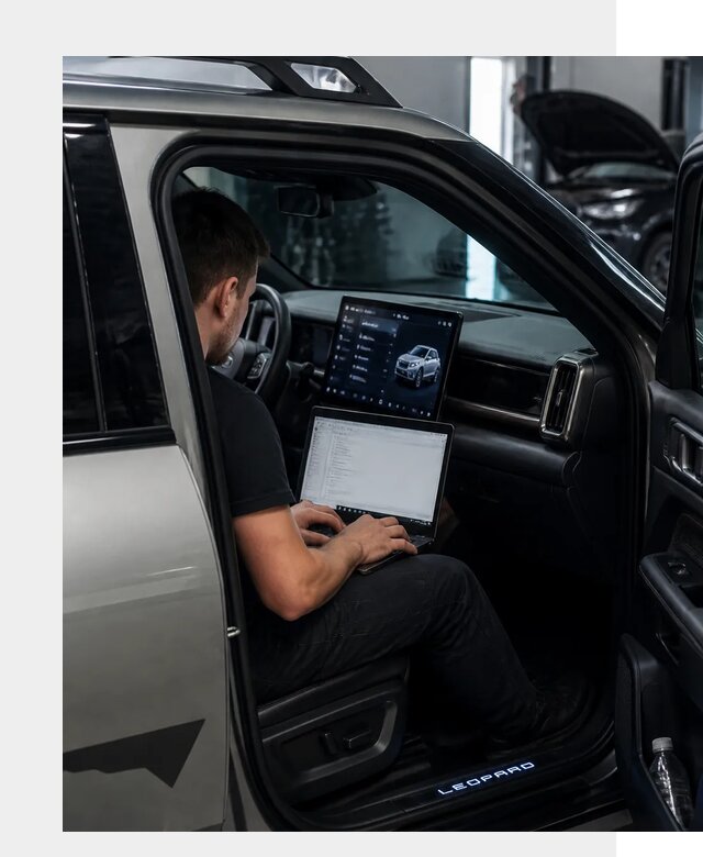 Русификация BYD Leopard 3 в Чебаркуле по цене от 21367 р. | ФастМобиль-Чбр